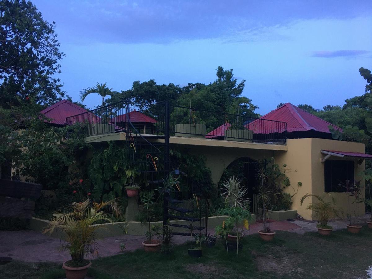 Bed and Breakfast Can Jam Retreat Negril Exterior foto