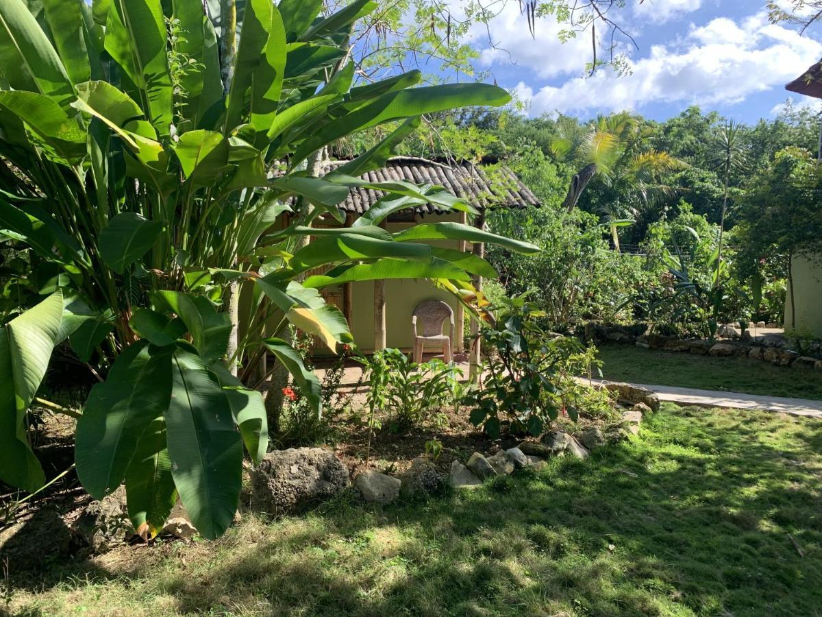 Bed and Breakfast Can Jam Retreat Negril Exterior foto