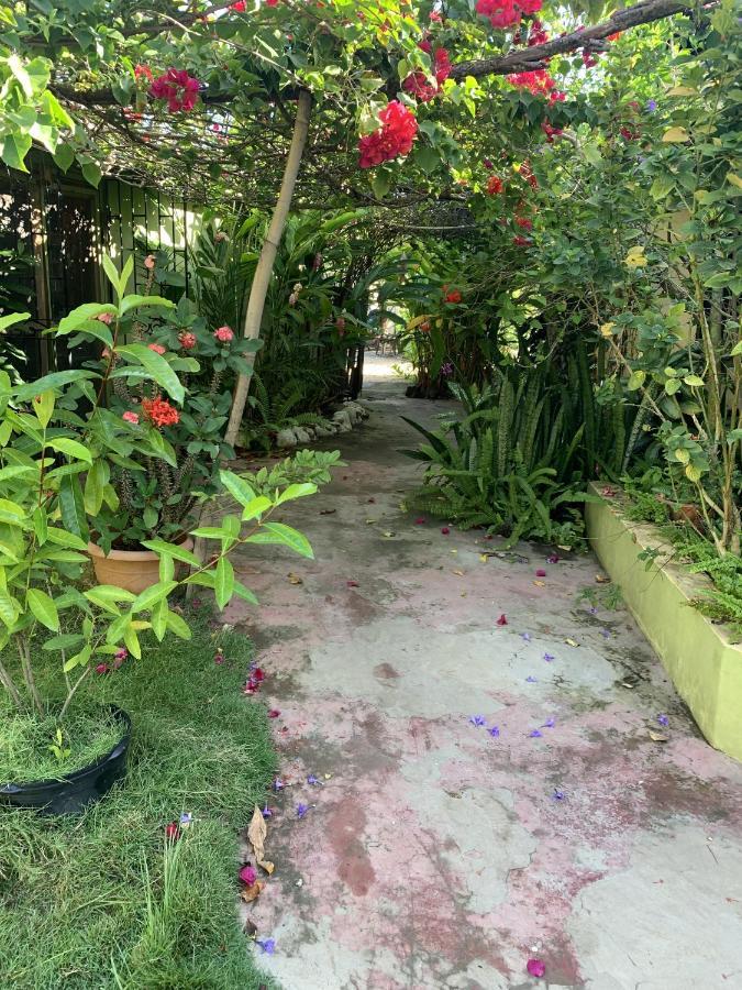 Can Jam Retreat Negril Exterior foto