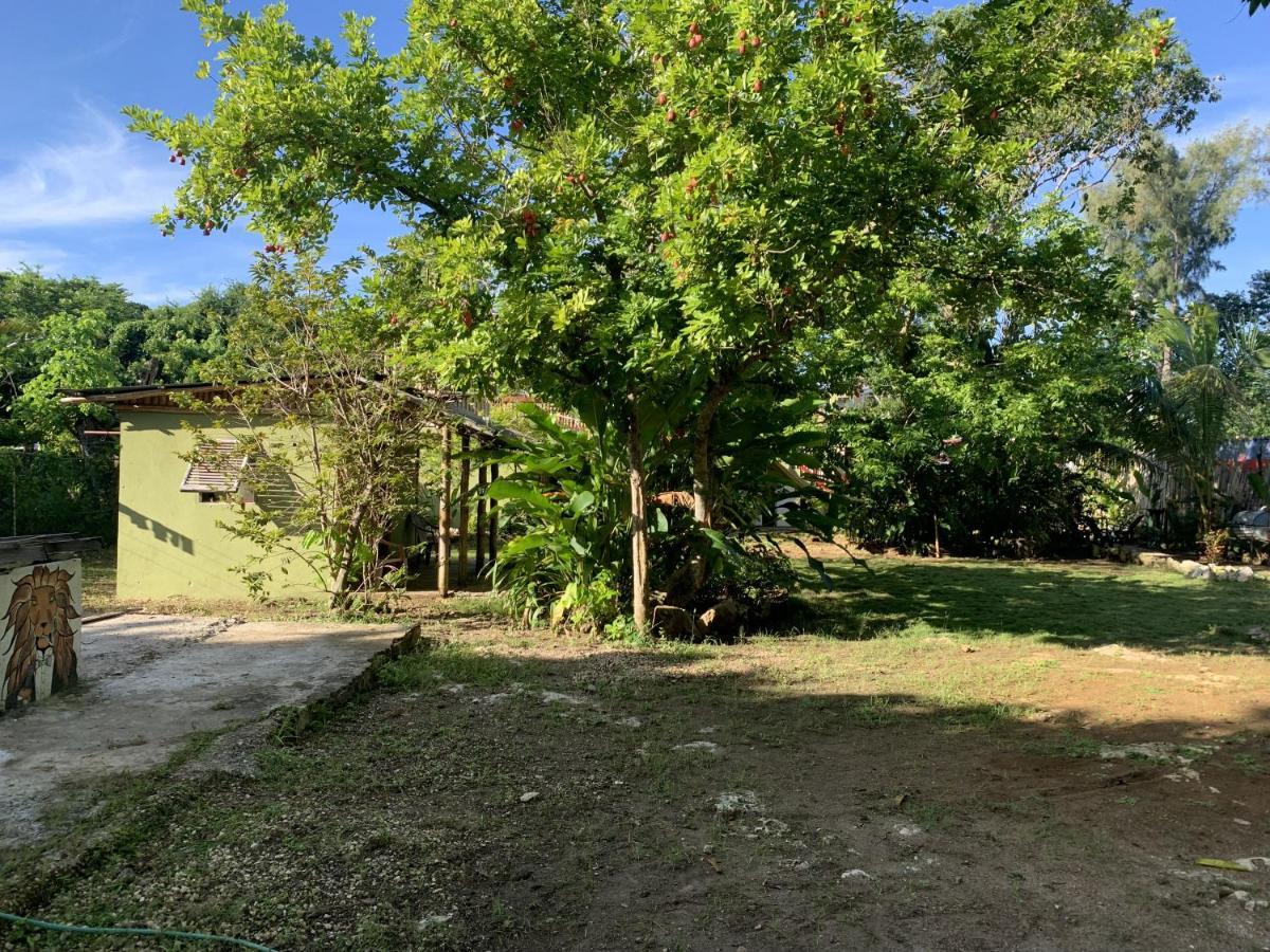 Bed and Breakfast Can Jam Retreat Negril Exterior foto