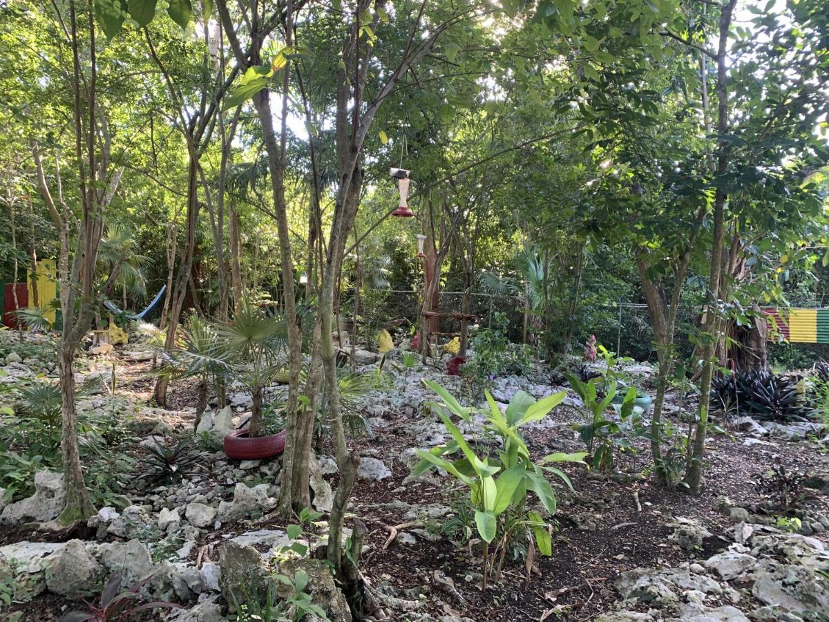 Can Jam Retreat Negril Exterior foto