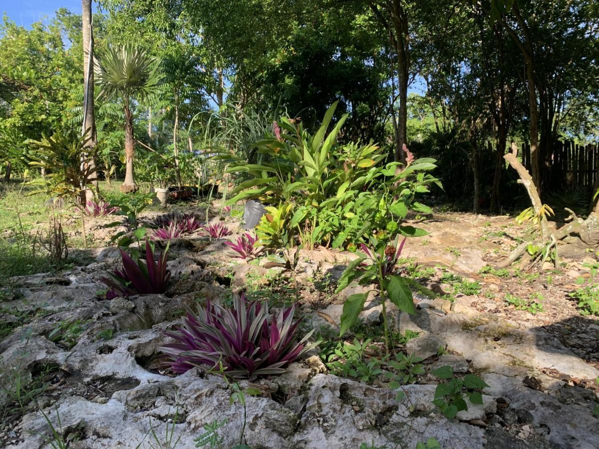 Bed and Breakfast Can Jam Retreat Negril Exterior foto