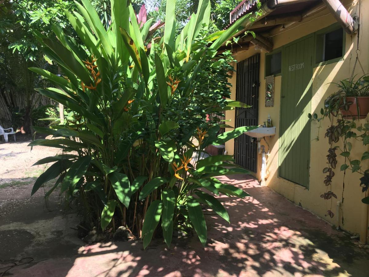 Bed and Breakfast Can Jam Retreat Negril Exterior foto